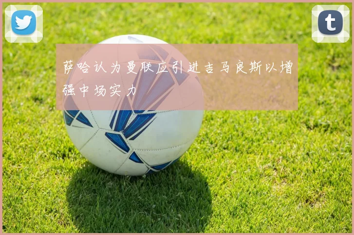 萨哈认为曼联应引进吉马良斯以增强中场实力