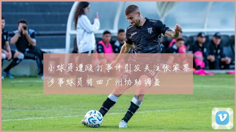 小球员遭殴打事件引发关注张家界涉事球员将回广州协助调查