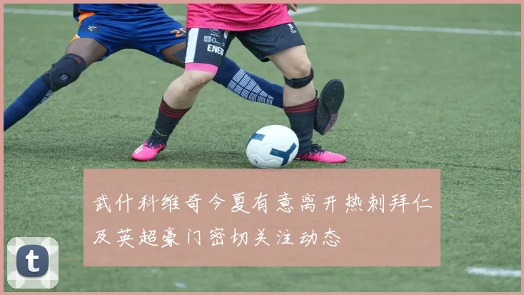 武什科维奇今夏有意离开热刺拜仁及英超豪门密切关注动态