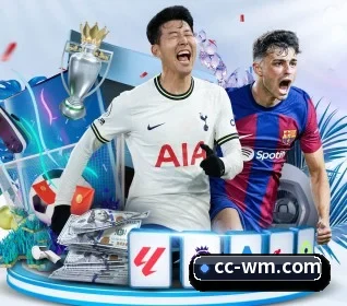 坚持做好基础的事 | WMSPORTS